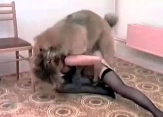 Hungry blonde and her stunning young dog