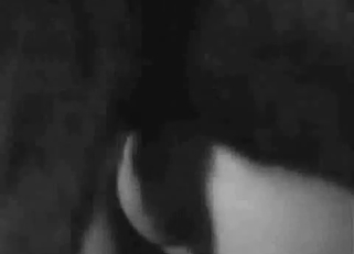 Sexy trained dog licks her juicy hole
