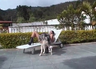 Husky licks her wide-opened crack