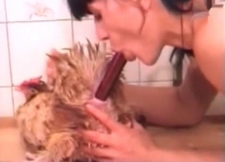 Shoving a cute toy in cock's ass